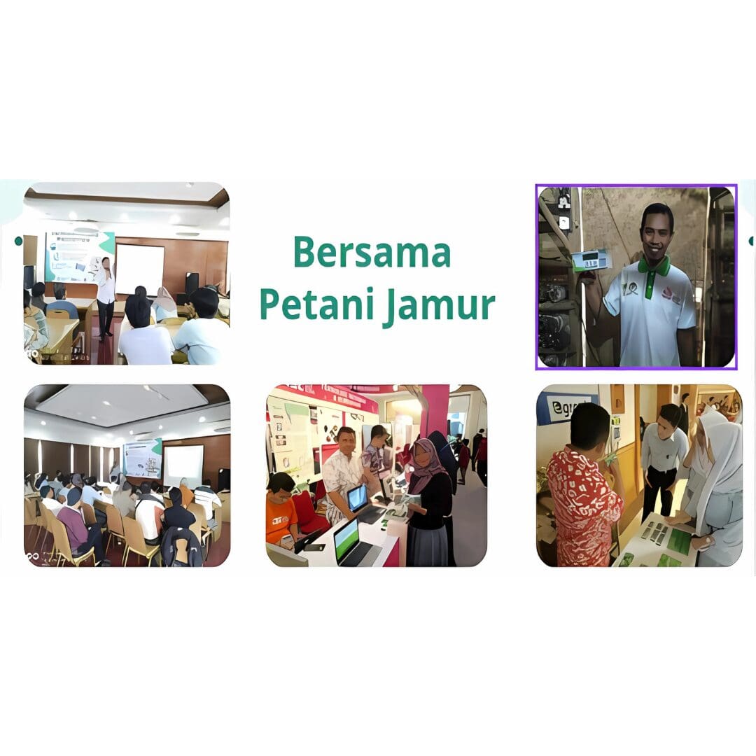 RIâ€‘IBSE innovative products - Ergotek Smart Farm