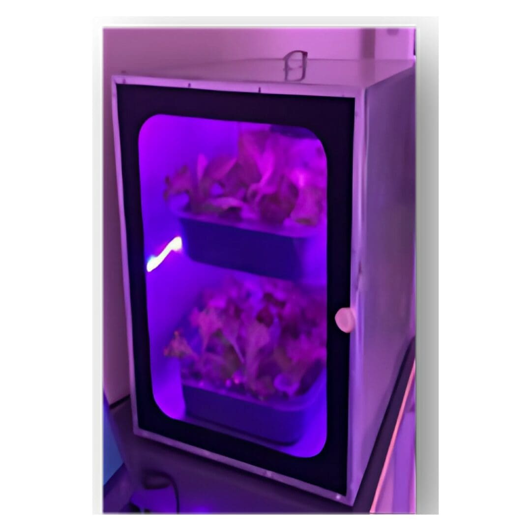 RIâ€‘IBSE innovative products - Smart Cabinet