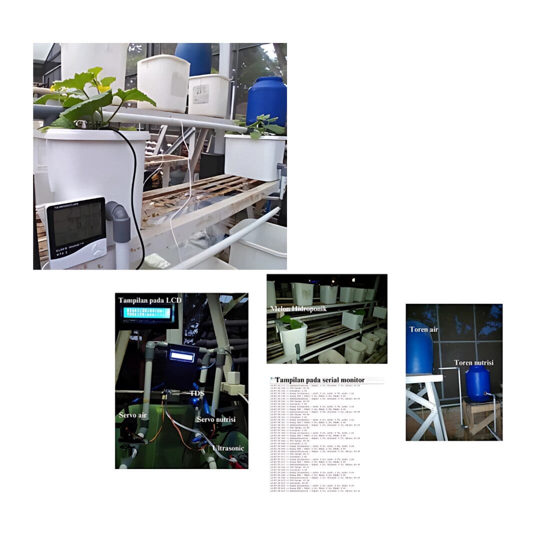 RIâ€‘IBSE innovative products - Melon Hydroponic System