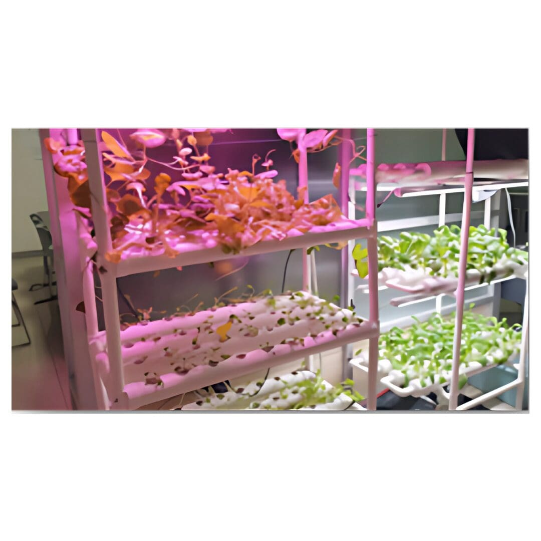 RIâ€‘IBSE innovative products - Indoor Smart Farming